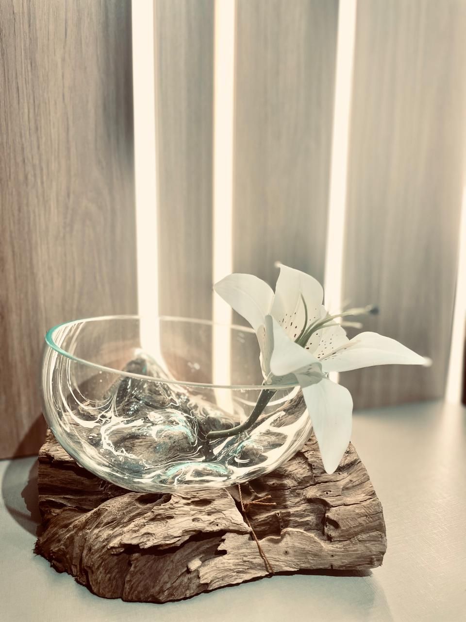 Diego Barreto Reboucas-10