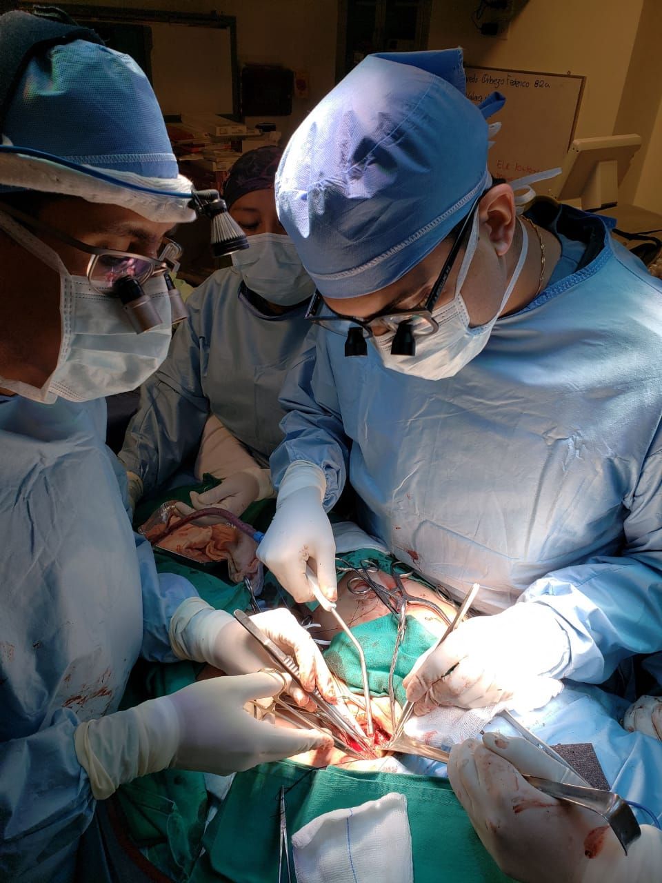 Enzo Borzellino Yepez-11