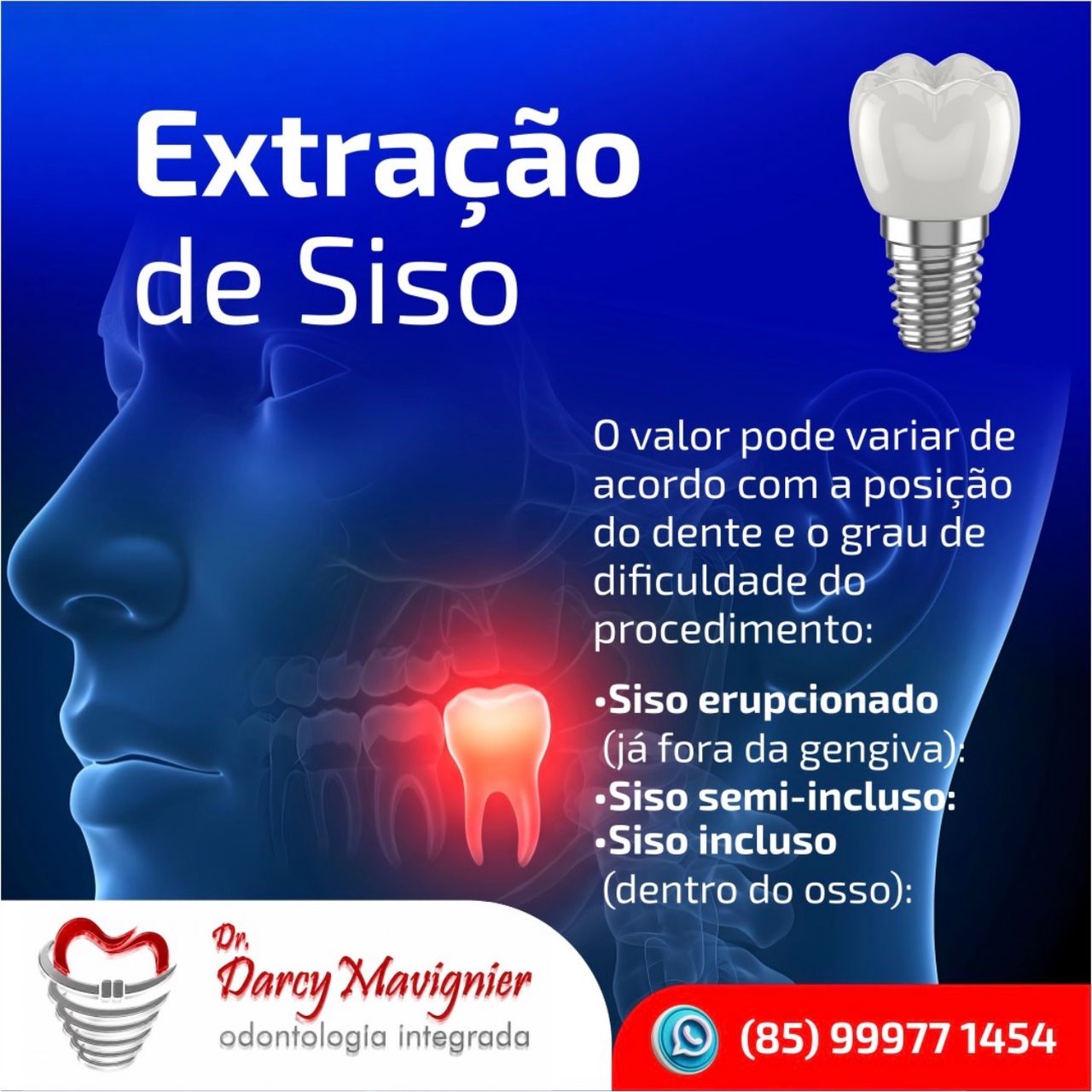 Darcy Furtado Mavignier Neto-18