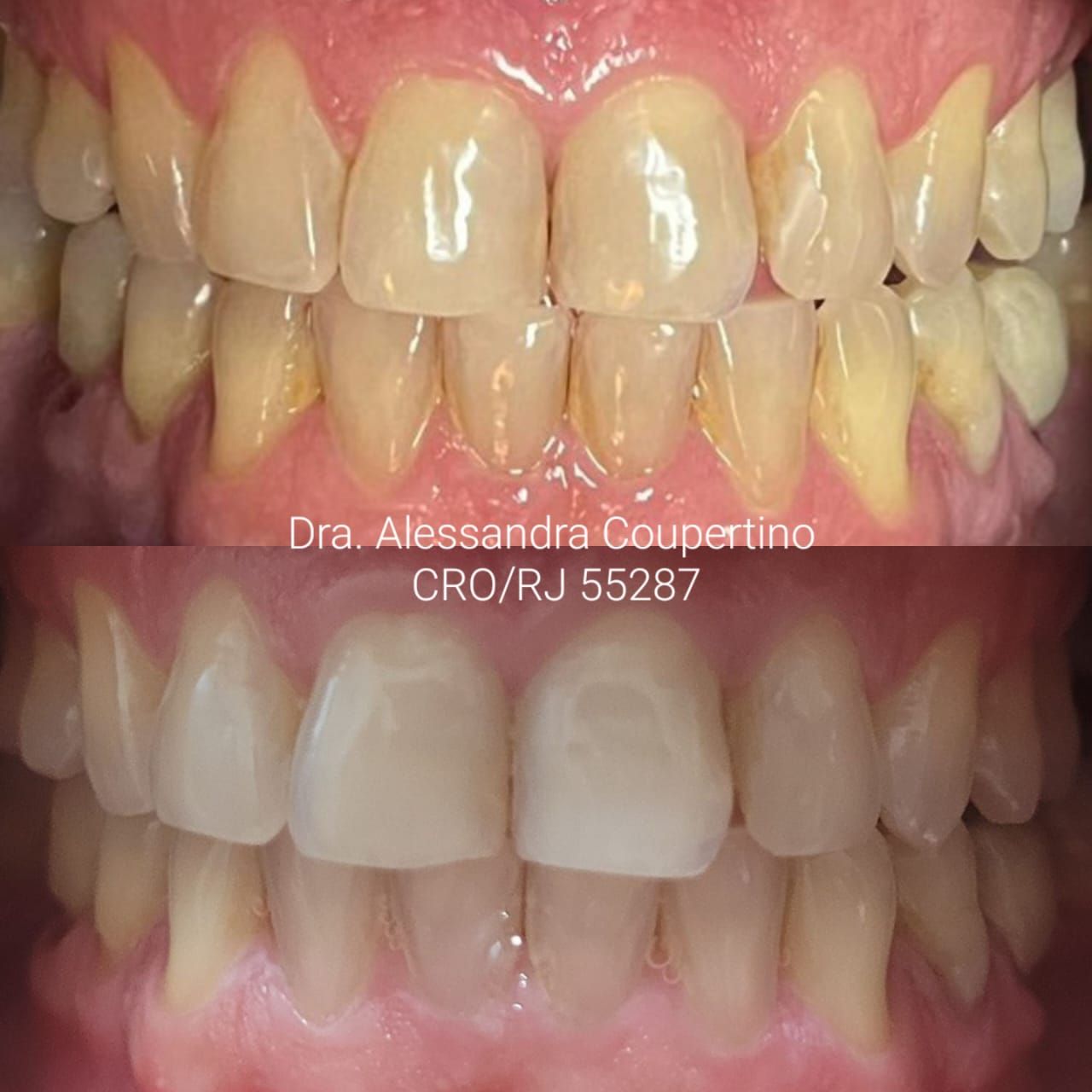 Fernanda Carneiro Pinto-0