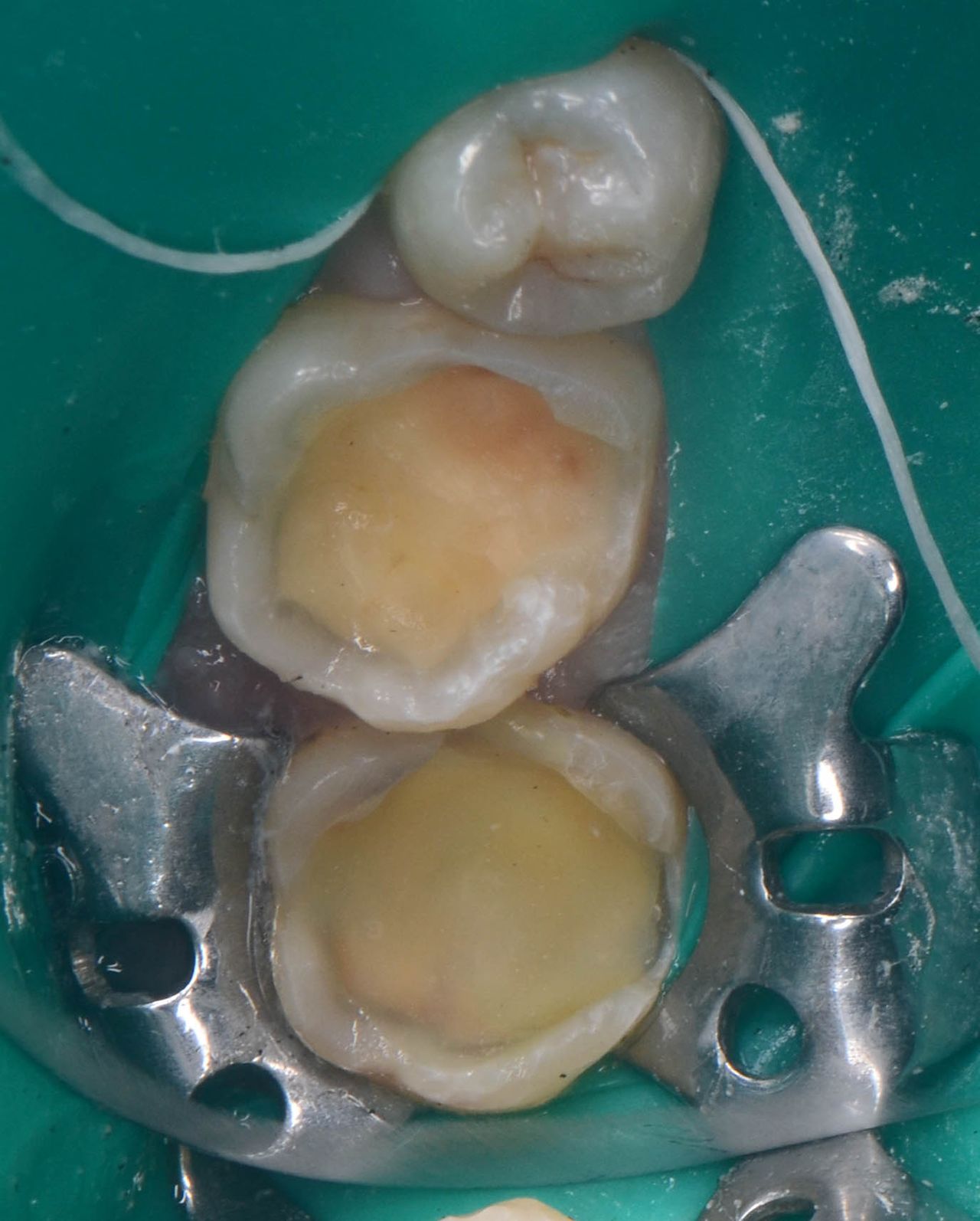 Edith Molina Miranda-3