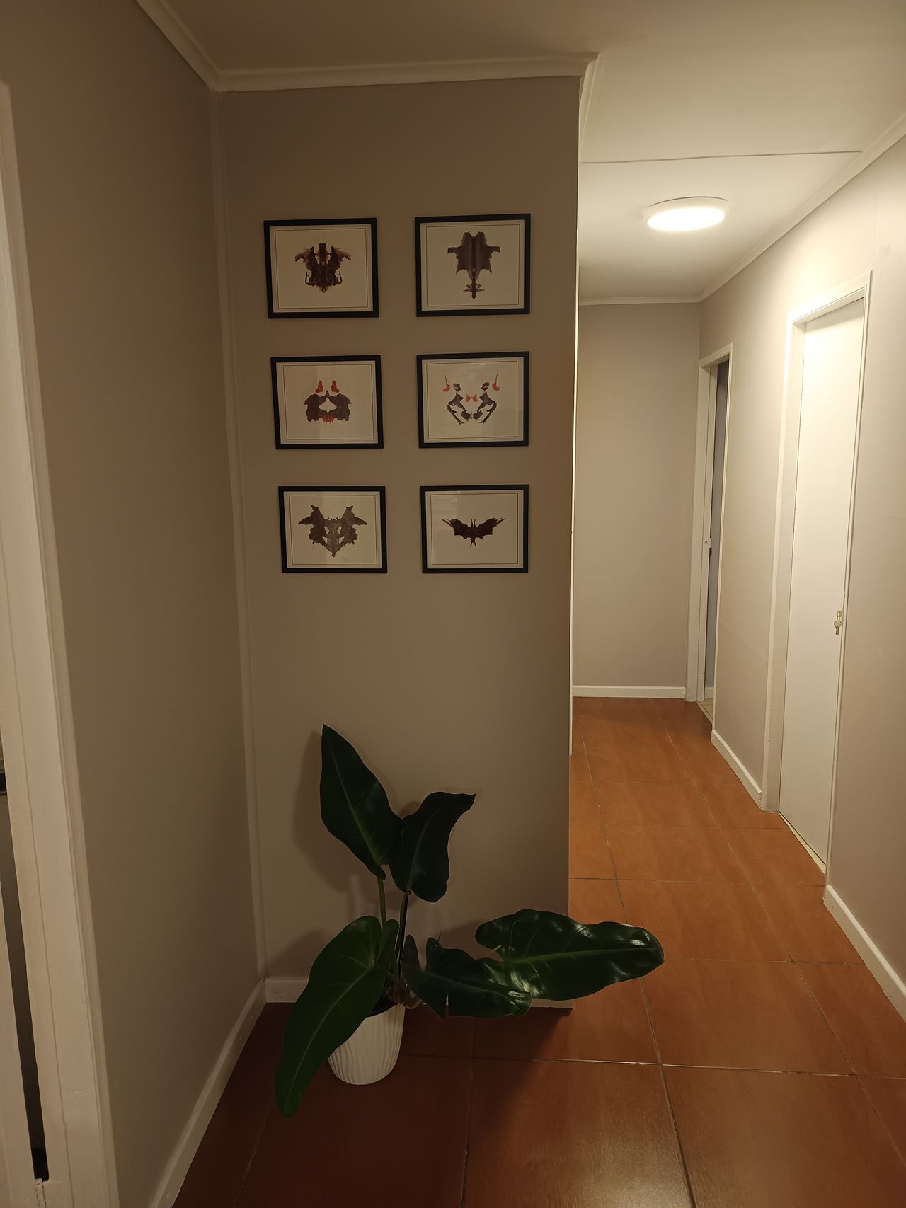 Roberto Reyes Arredondo-1