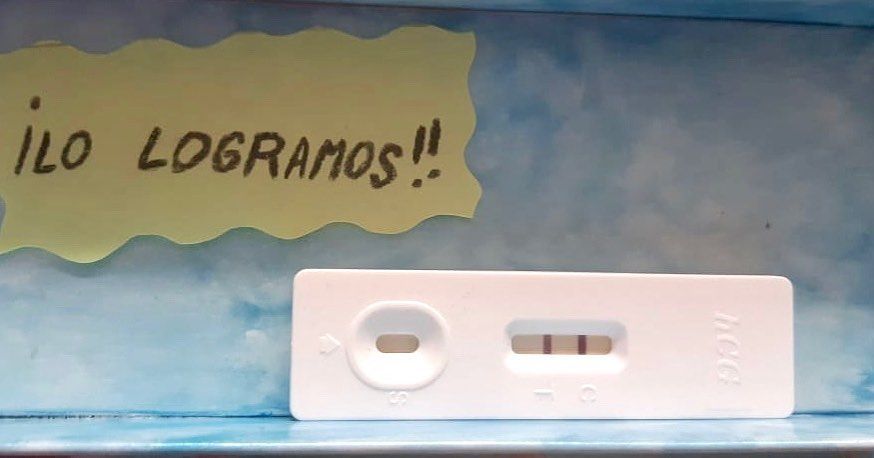 Carlos Andres Zorro Rodriguez-4