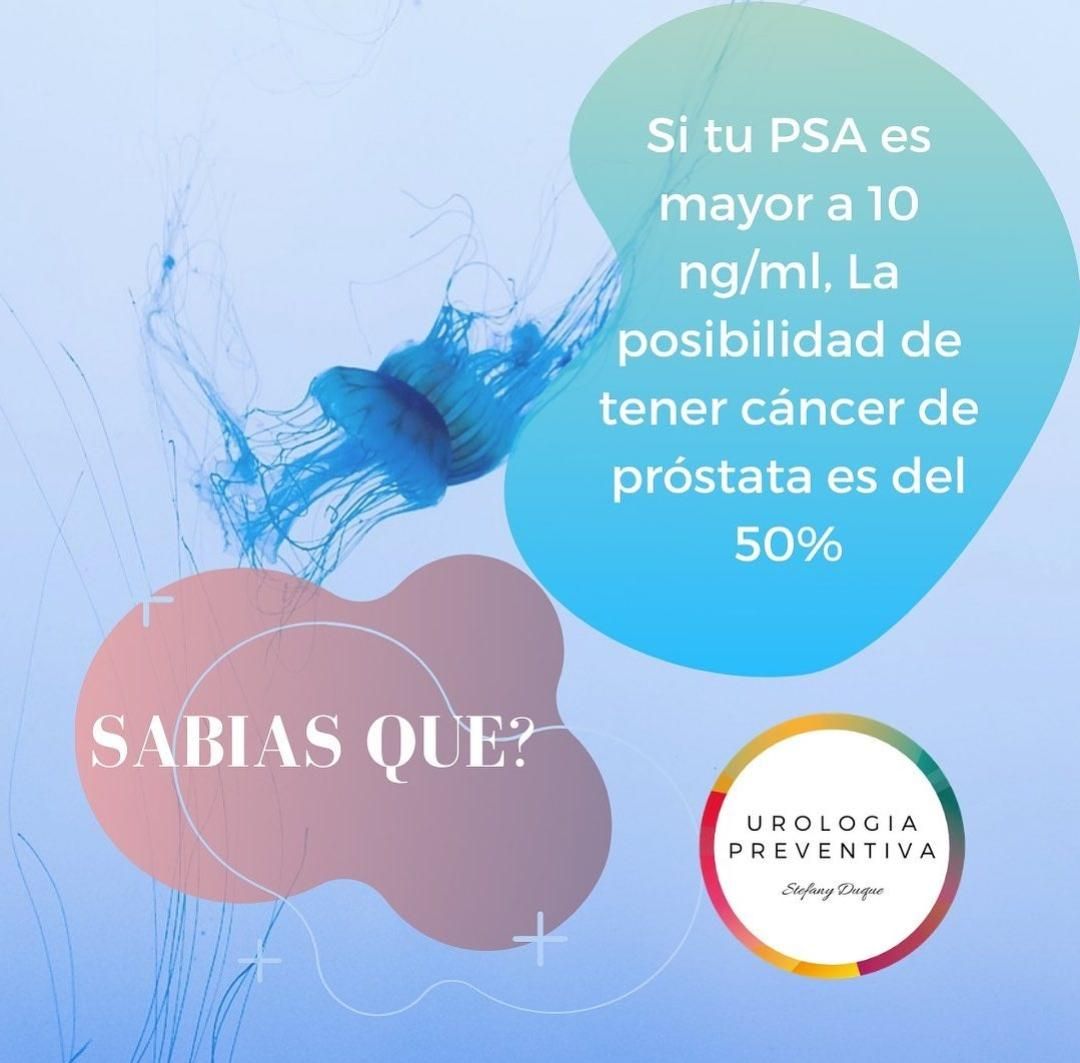 Joan Stefany Duque Pulido-9