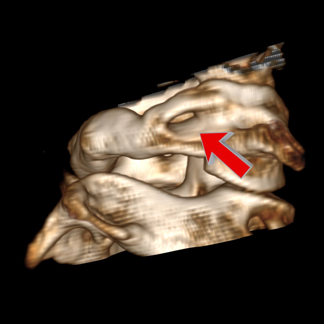 David Tafur Muñoz-2094