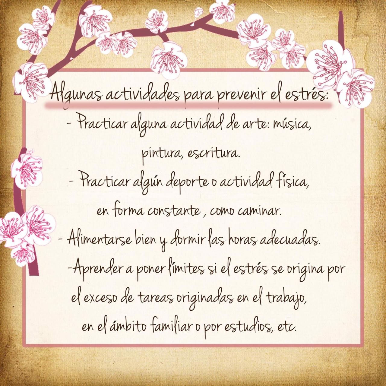 María Beatriz Valenzuela Larrañaga-23