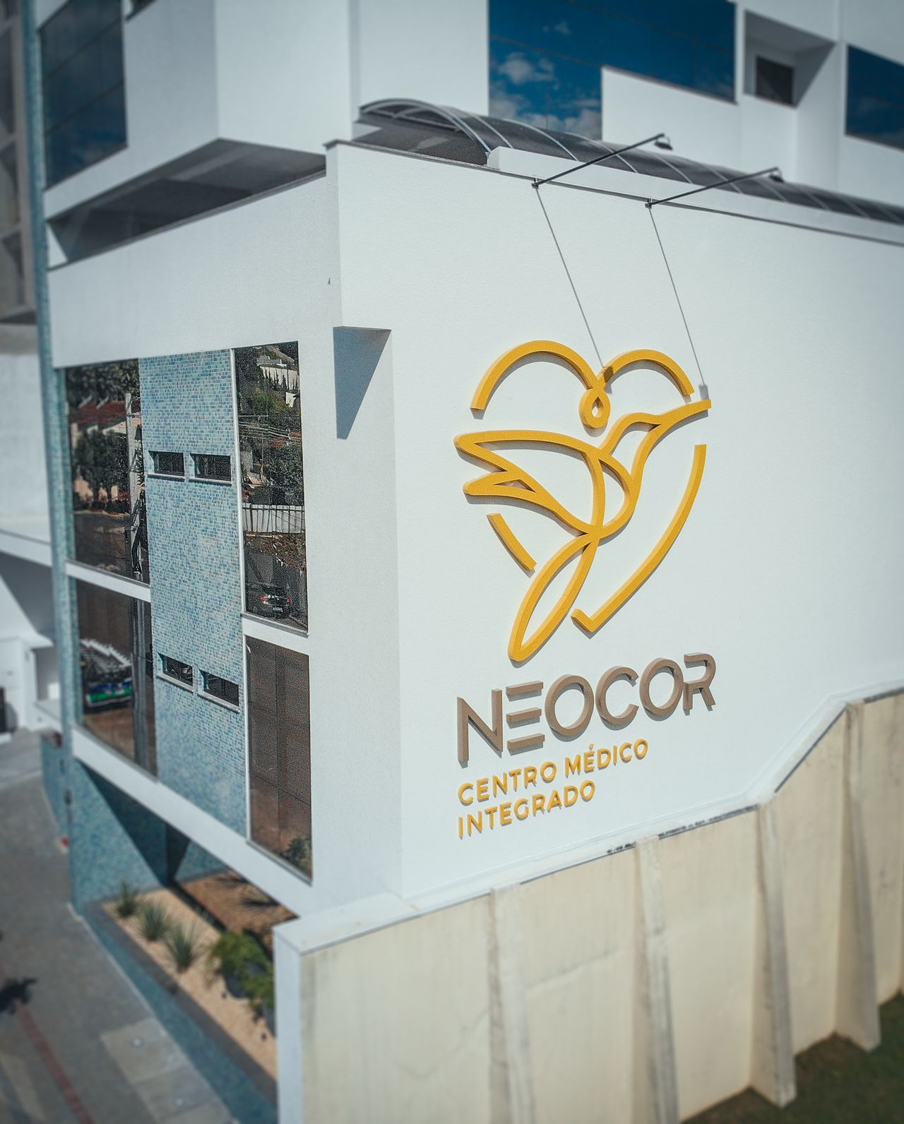 Paulo Henrique De Bortolli Júnior-0