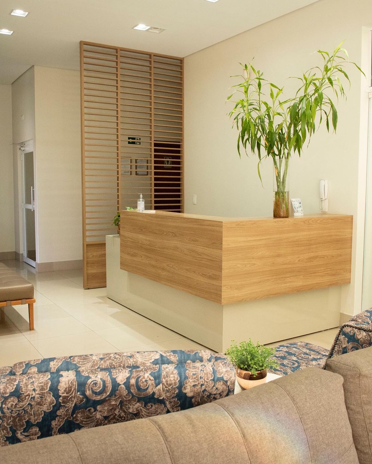 Henrique Cassis Ribeiro Santos-1