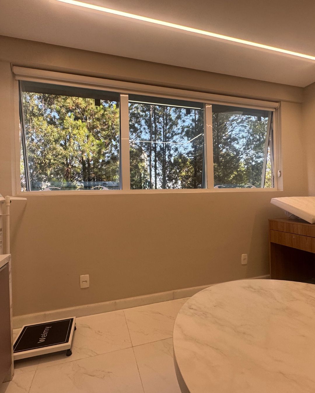 Lilian  Freitas De Assunção Alves Rodrigues-3