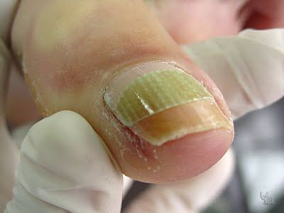 S.patricia Gajardo-8