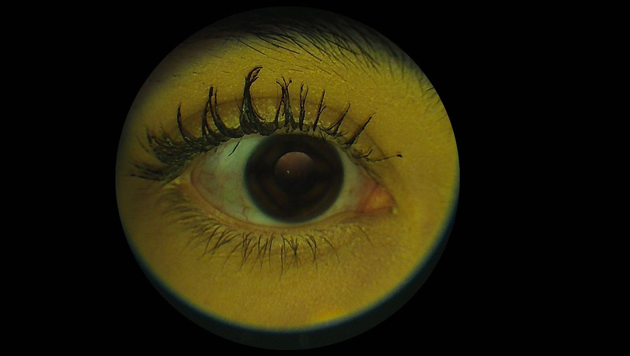 Daniela Cardona Acevedo-16