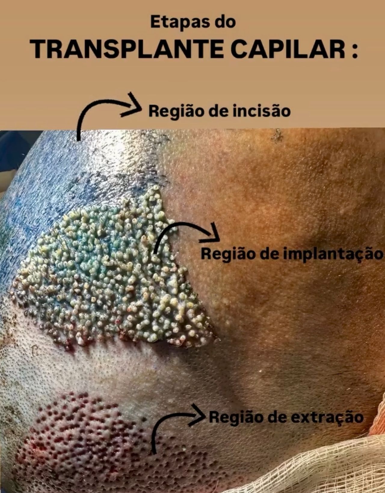 Monique Jaqueline Pereira-5