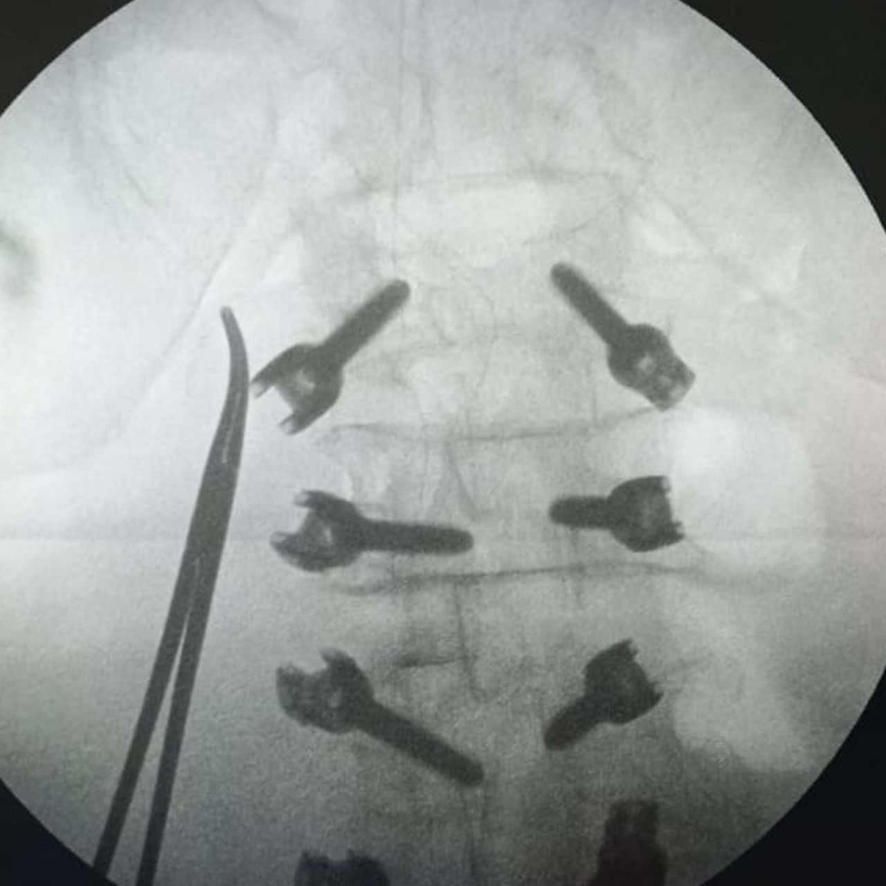 David Tafur Muñoz-1417