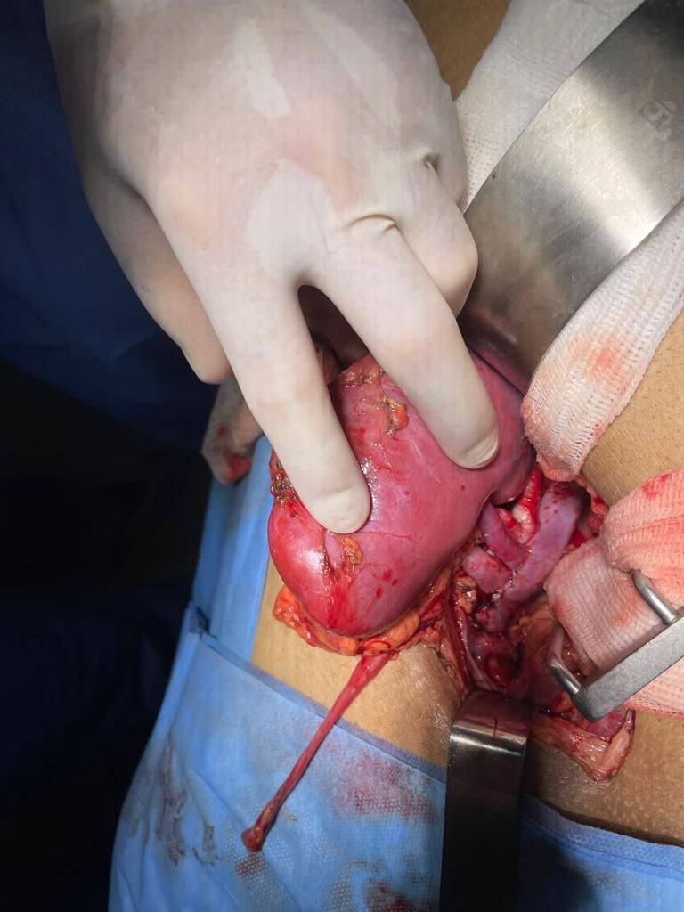 Gustavo Figueiredo Carneiro-0