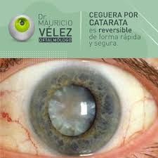 Mauricio Velez Fernandez-11