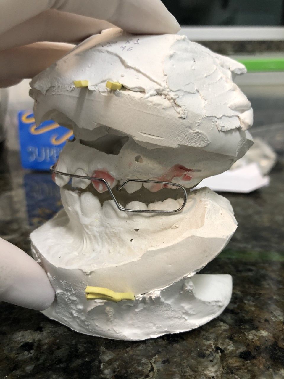 Camila Bezerra De Menezes Silveira-1