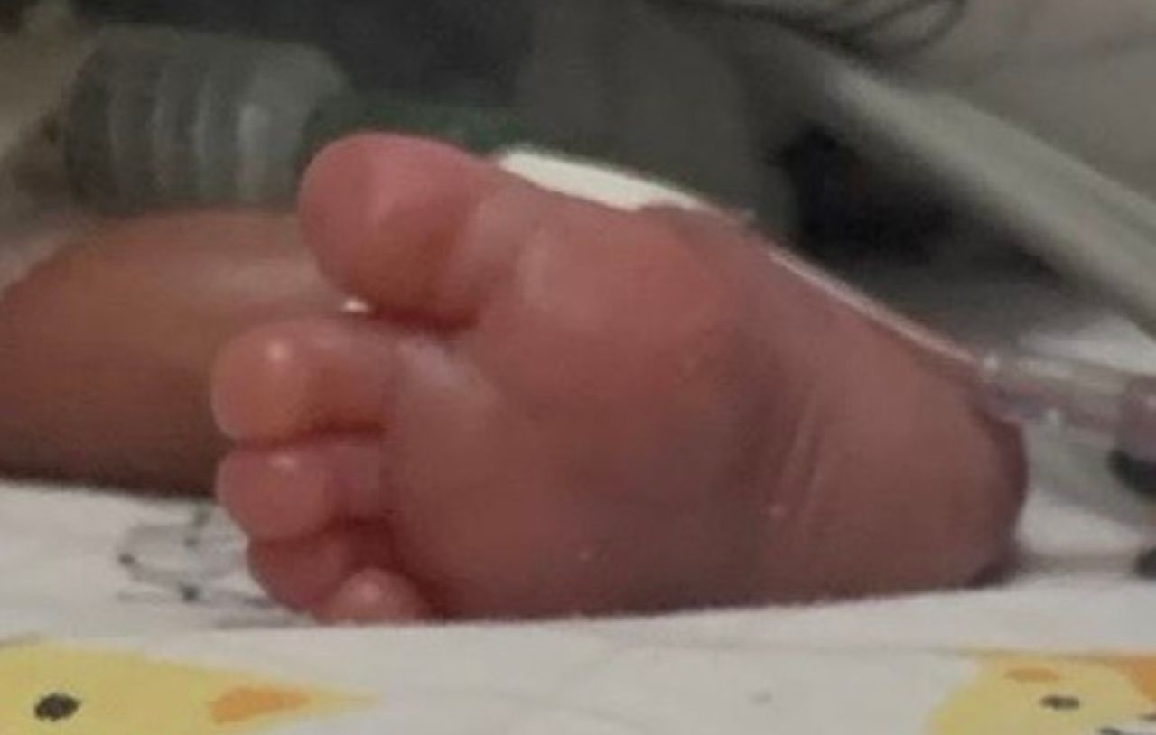 Daniella Cristina Demes-9