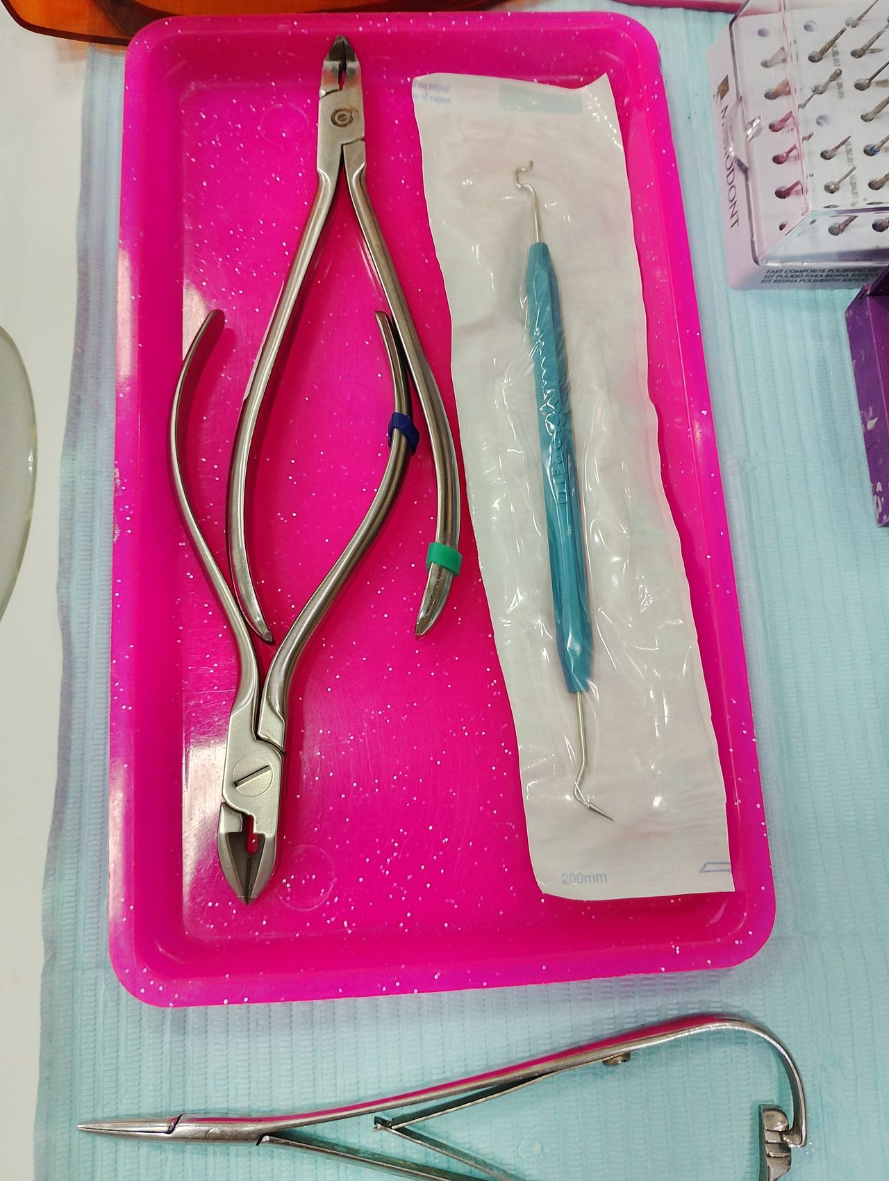 Paula Veridiana Uehbe Dias-20