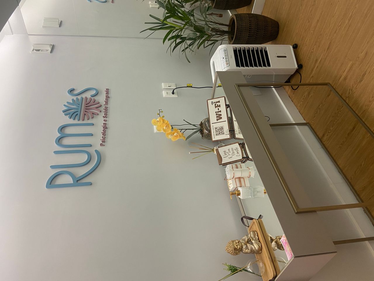 Mayana Rocha Sales-4