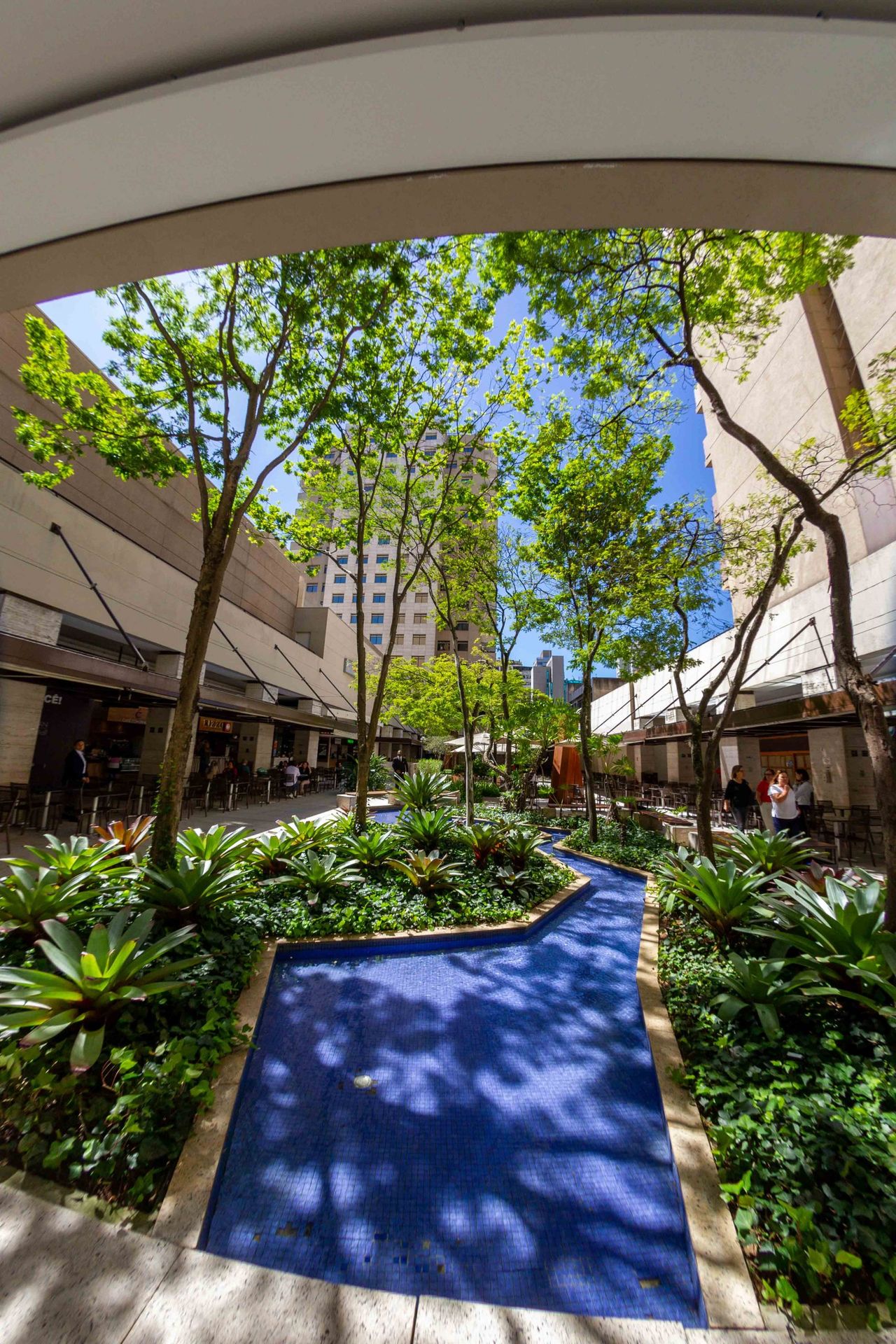 Gregório Pepeliascov-19