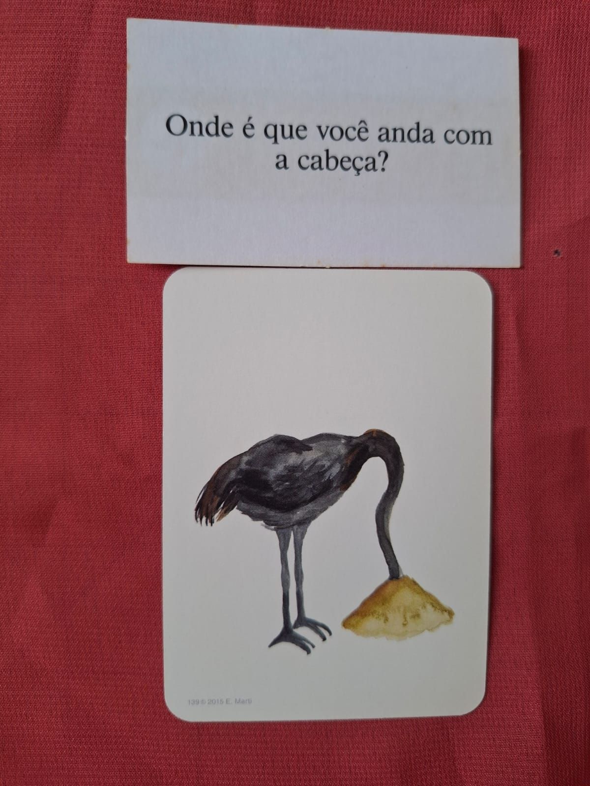 Maria Manuela Ferreira-3