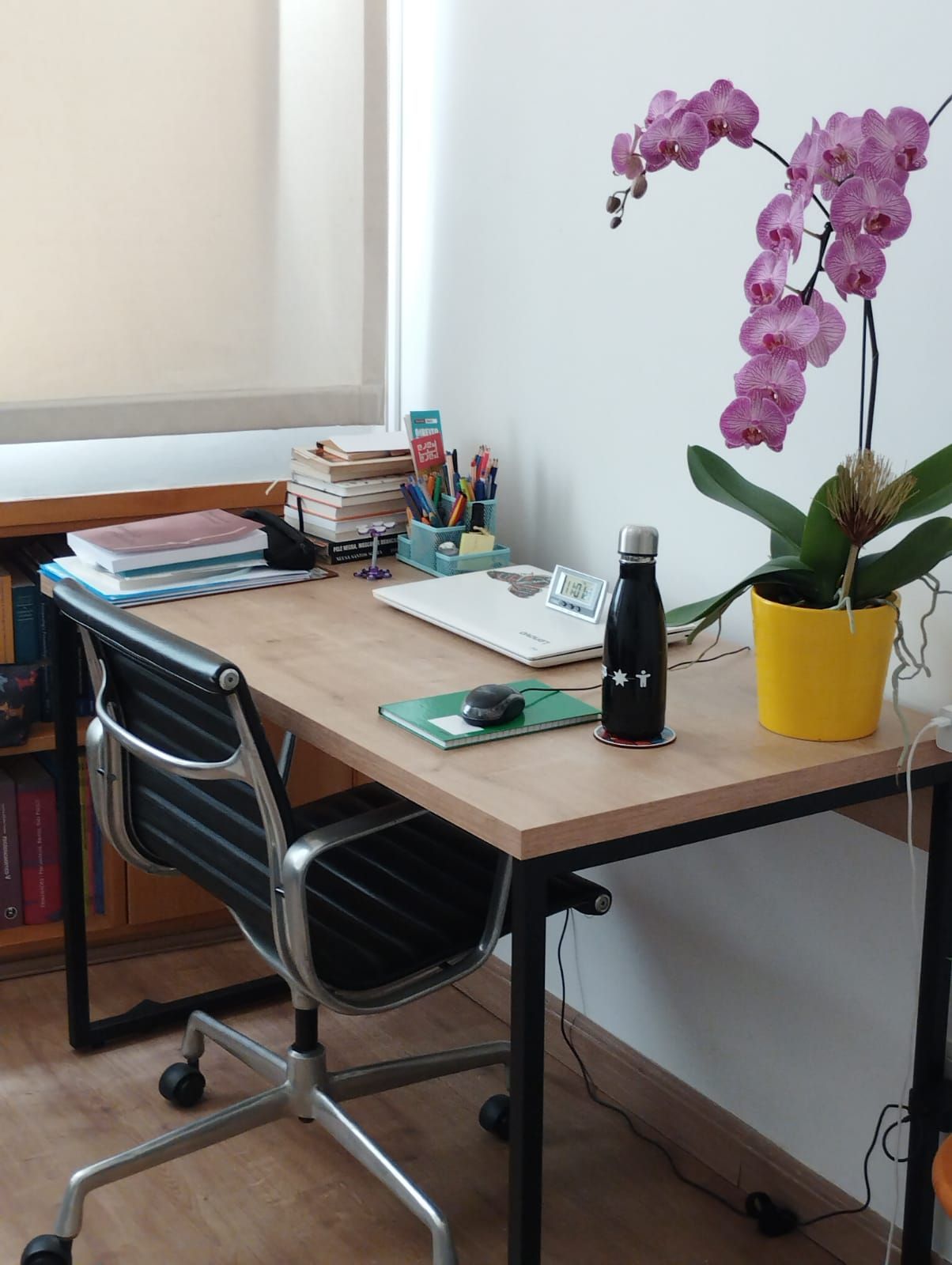 Maria José Tavares Barbosa-15