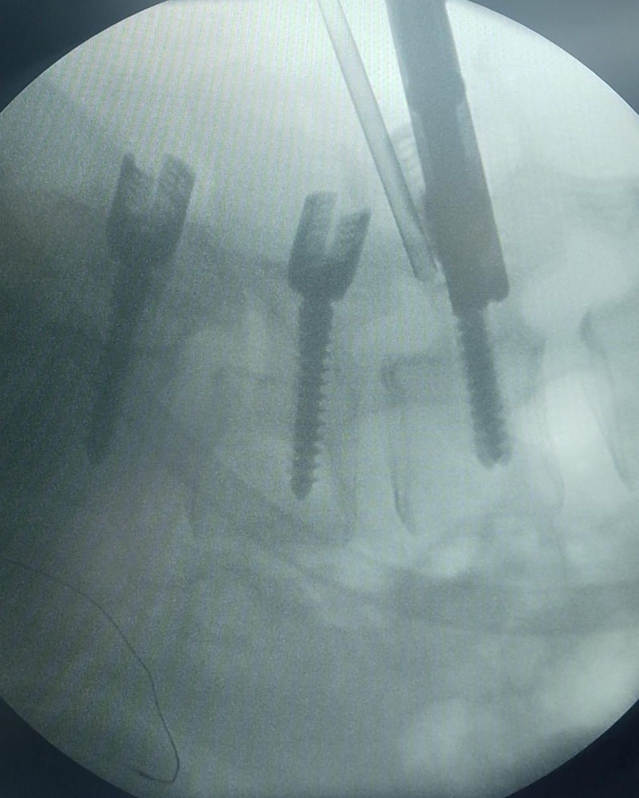 David Tafur Muñoz-1084