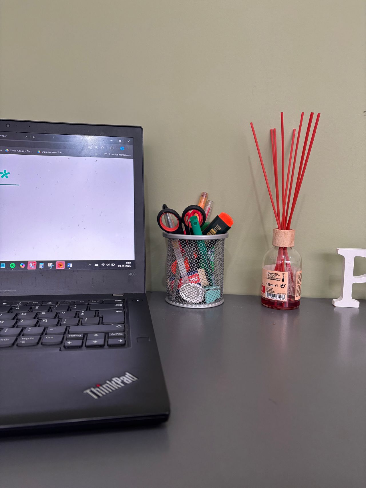 Cristina Causi Solar-1