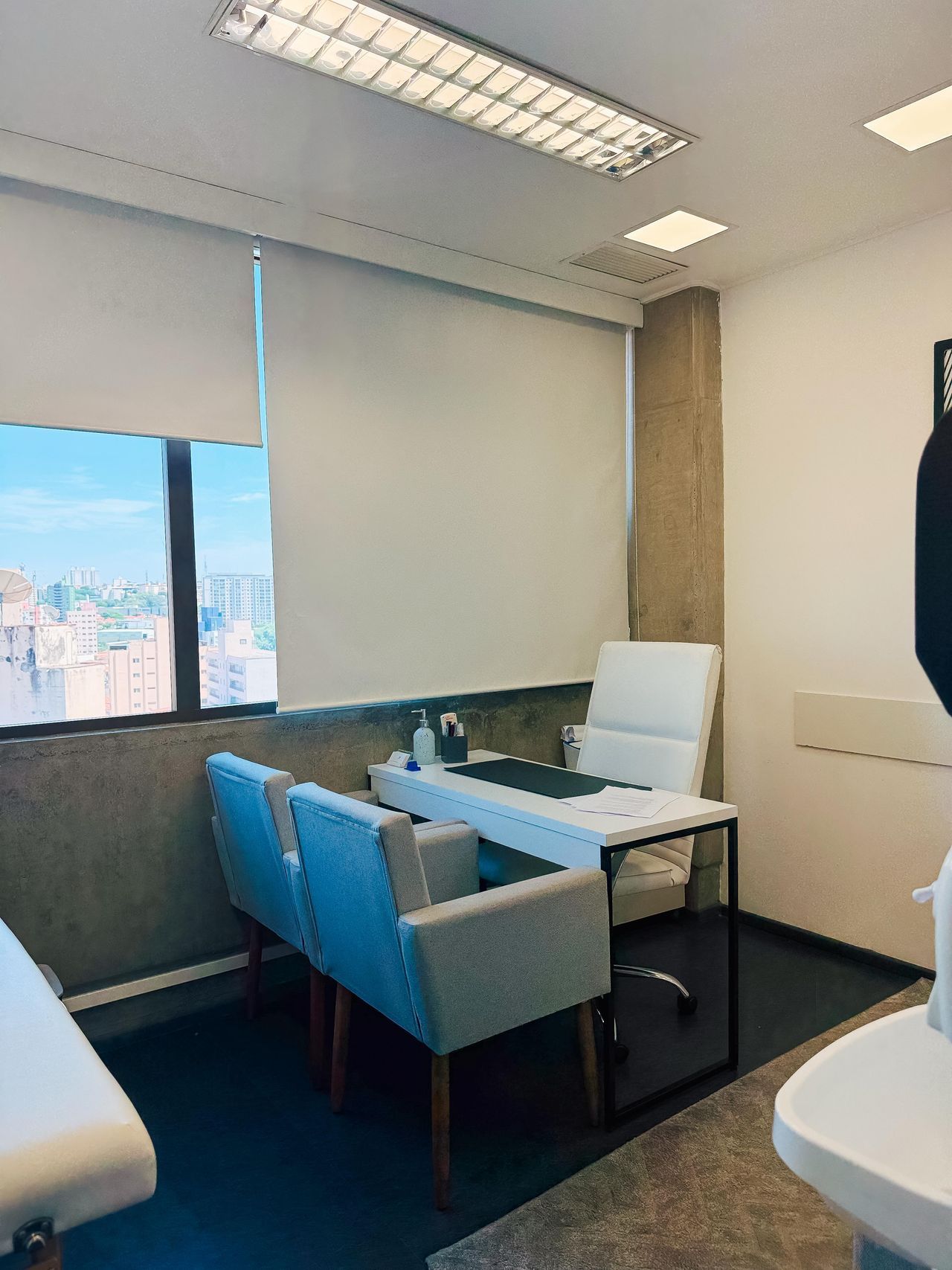 Amanda De Albuquerque Verissimo-1