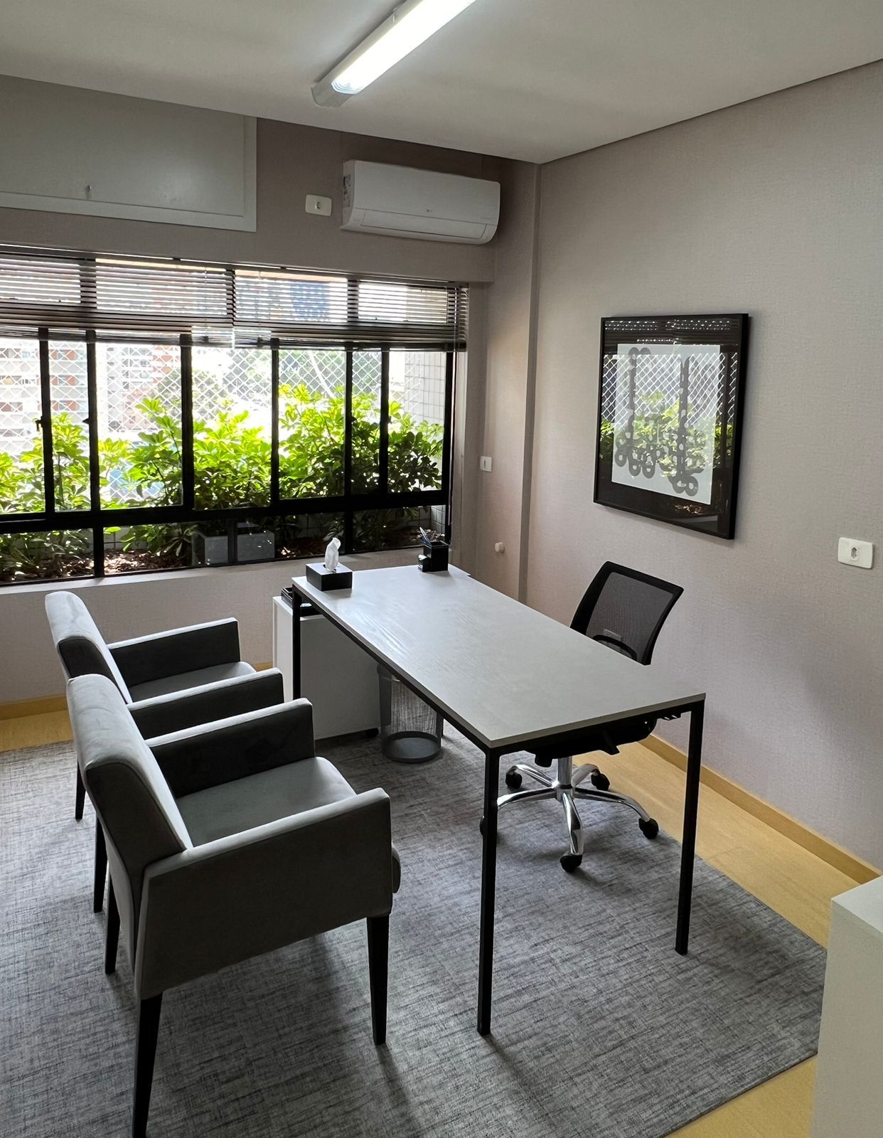 Pedro Henrique Thomaz Haddad-1