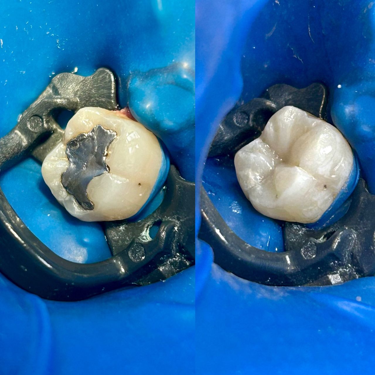 Montserrat Carbonell Palacios-0