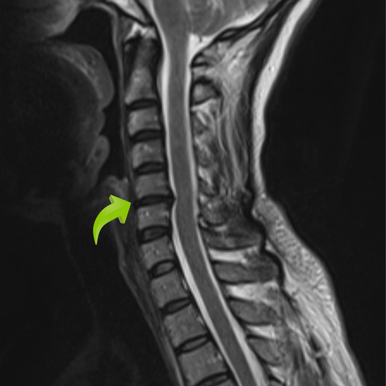 David Tafur Muñoz-1865