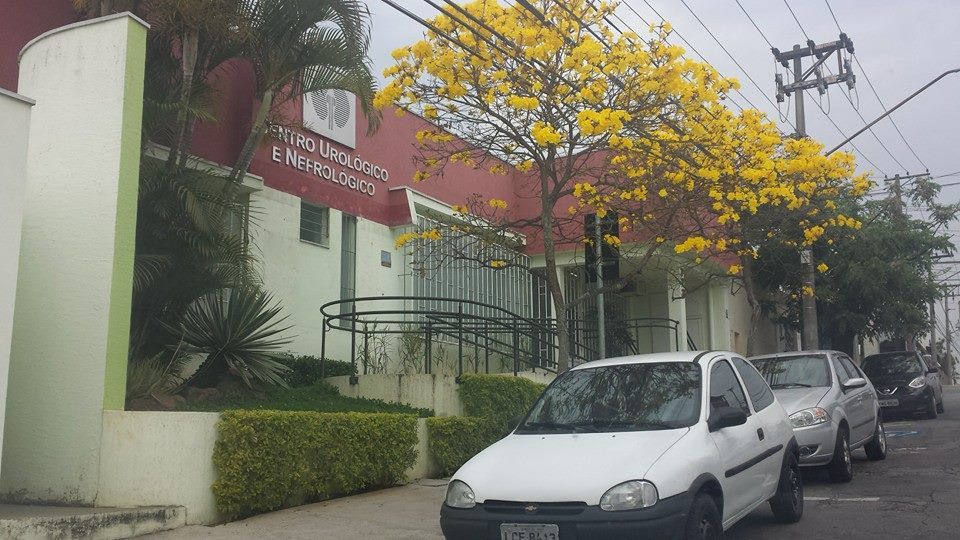 Carlos Alberto Dos Santos Junior-2