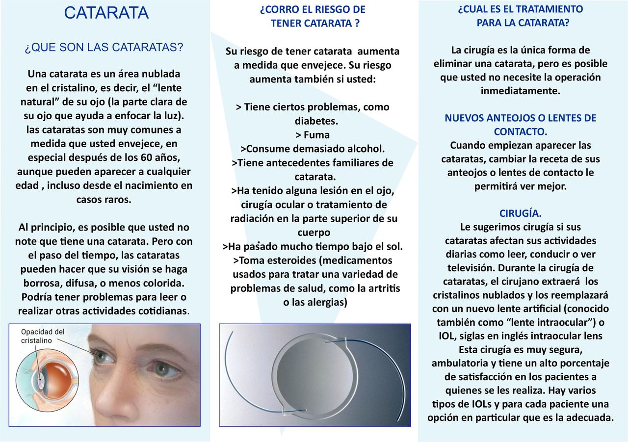 Diego Armando Rodriguez Fonseca-22