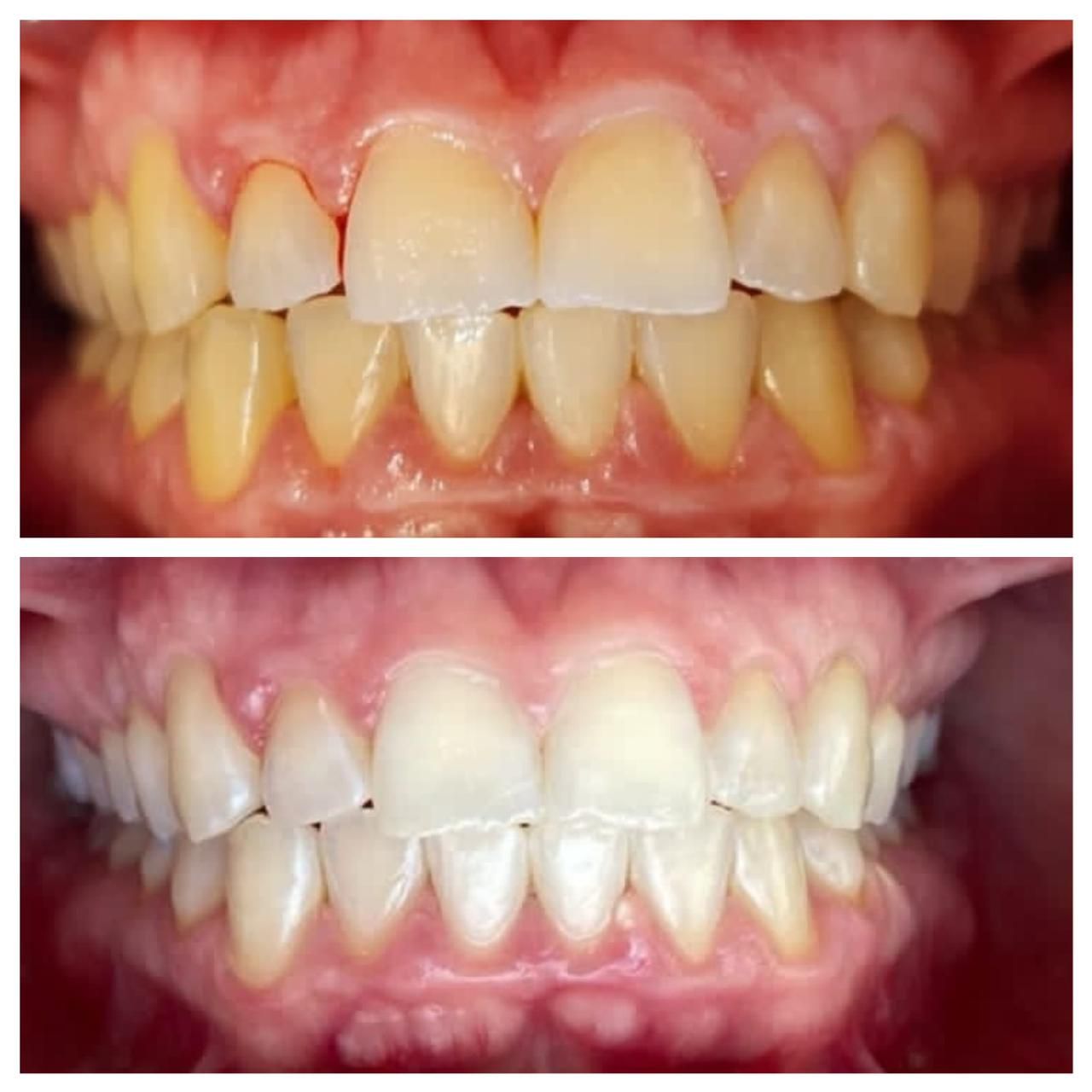 Rosemary Carneiro De Sá-39