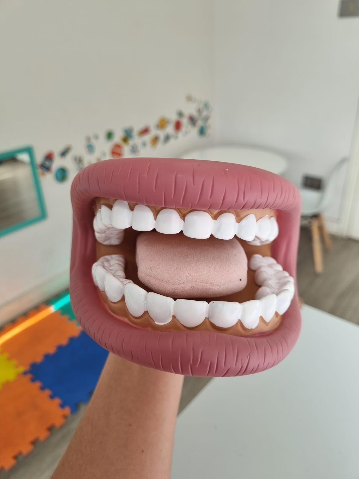 Daniela Garrido J.-22