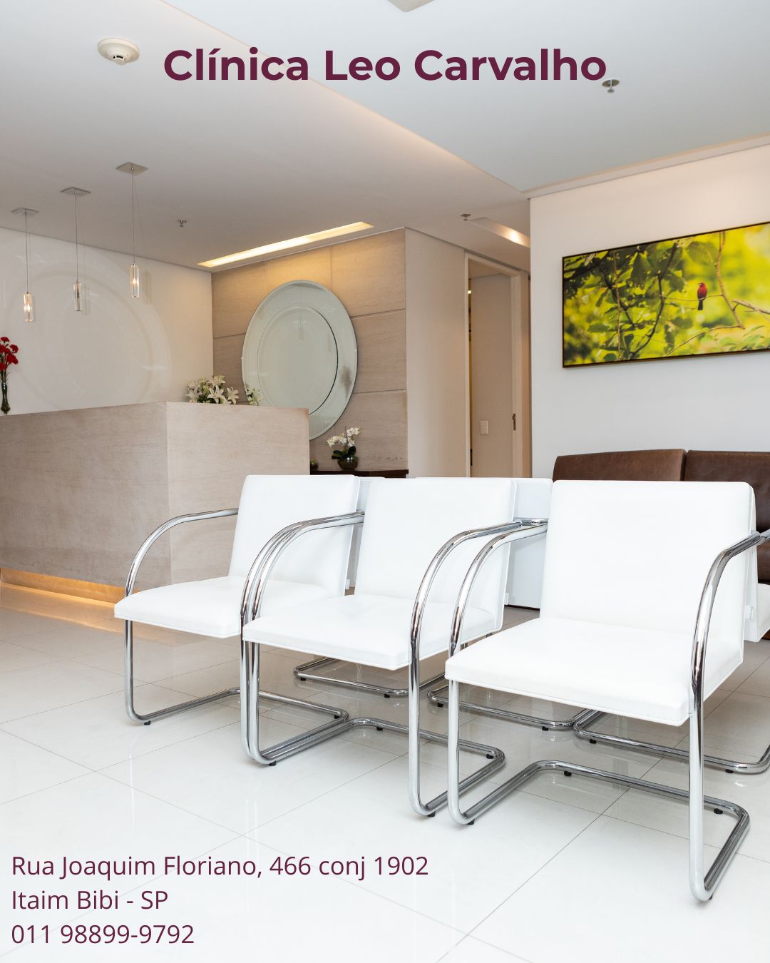 Diego Brito Mascarós-13