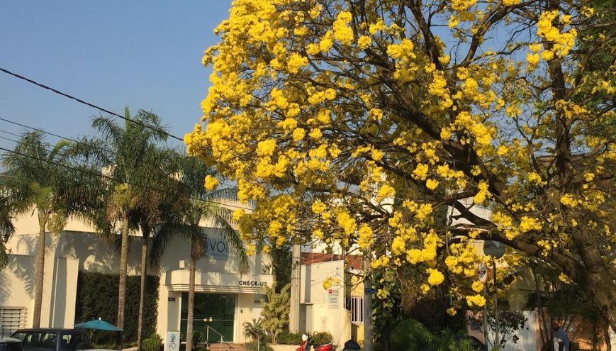 Rafael Vicente Lucena-1