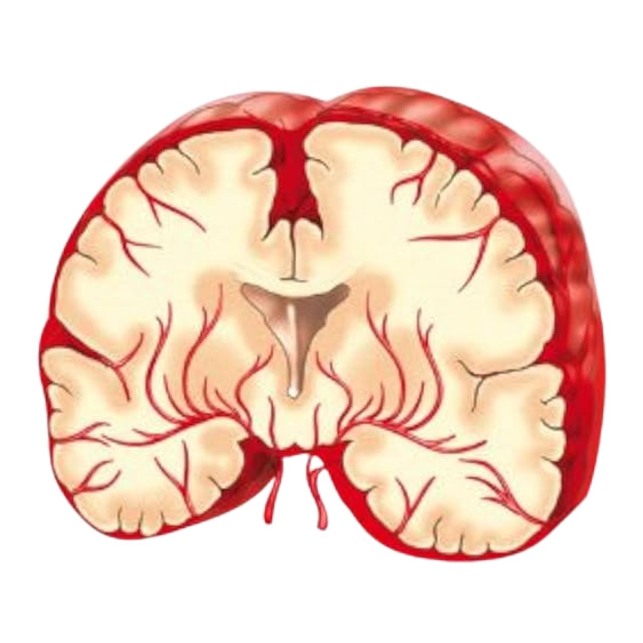 David Tafur Muñoz-1287