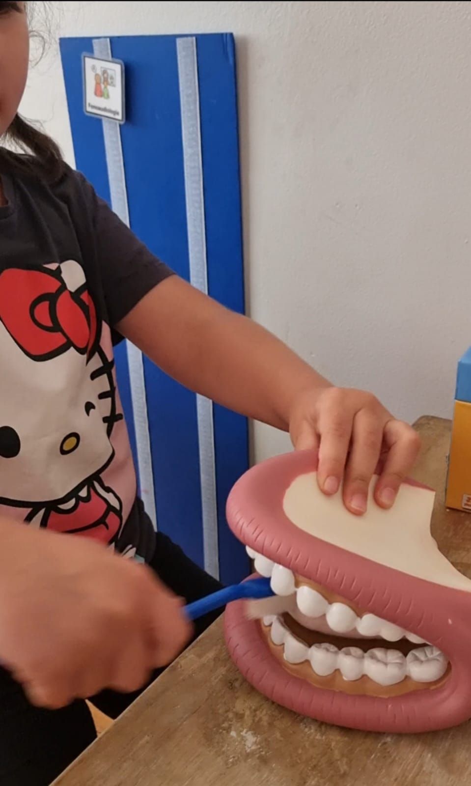 Daniela Garrido J.-19