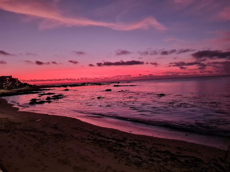 Romy Bravovisch Froimovich-6