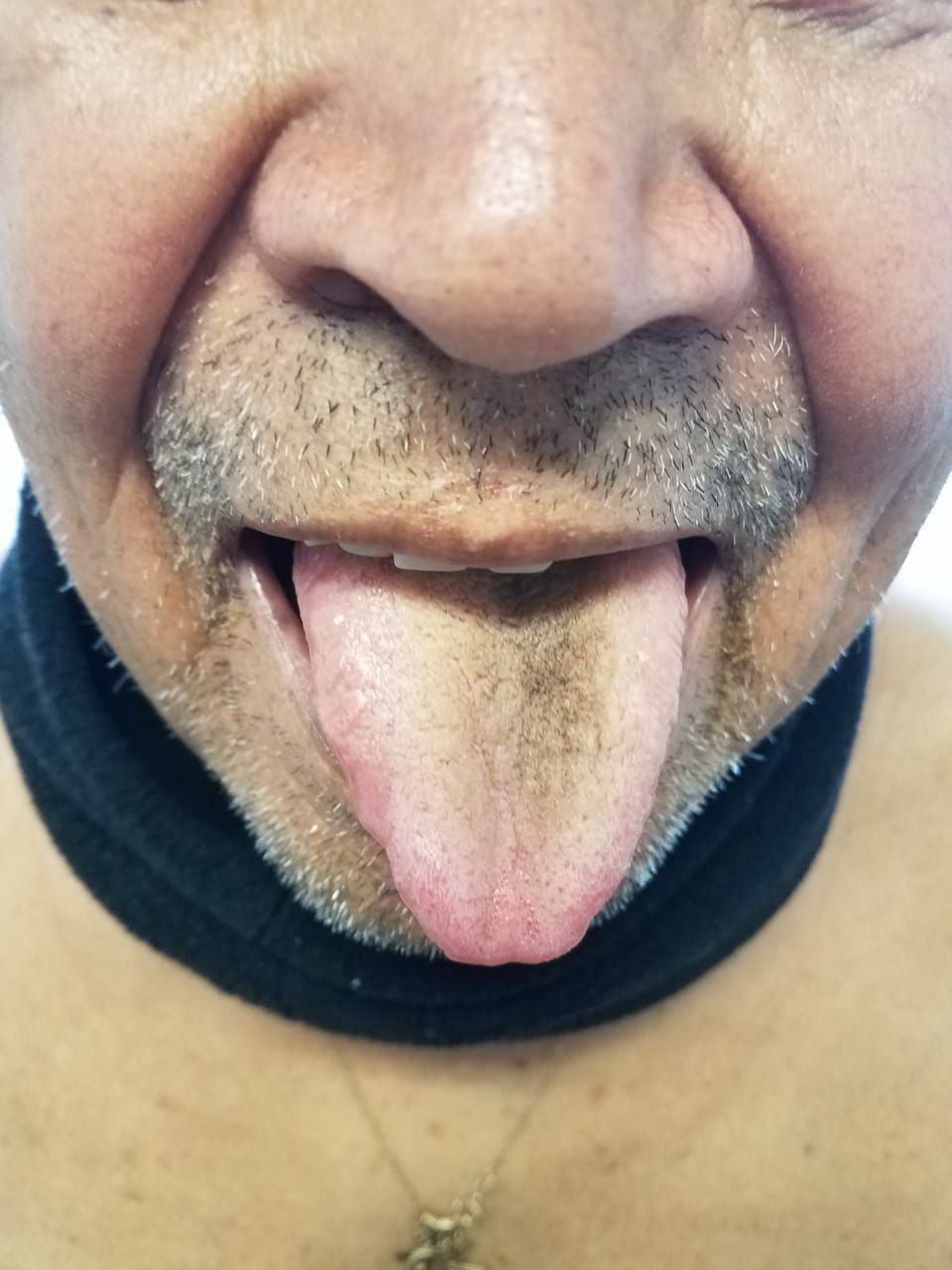 Yang Loon Hsiao Tsao-10