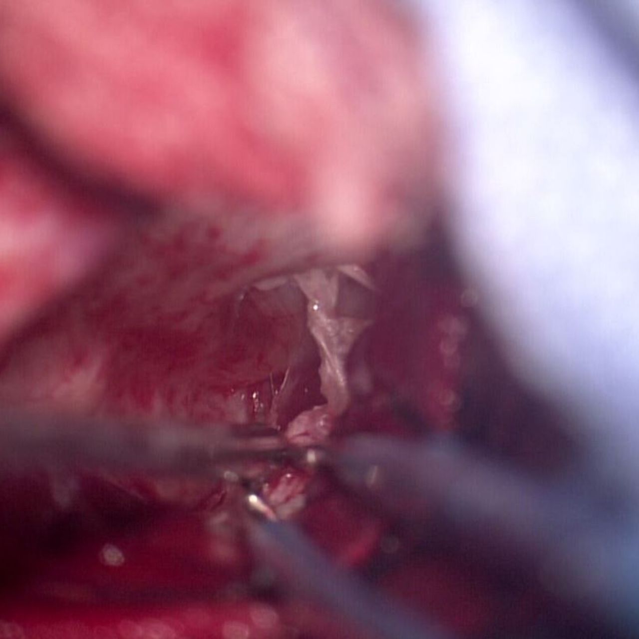 David Tafur Muñoz-1370