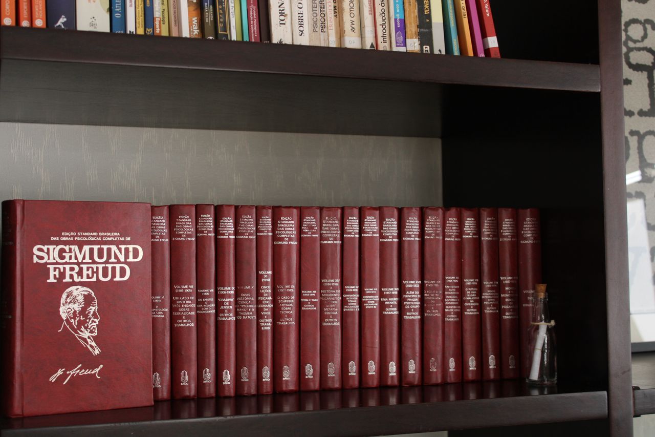 Pedro Maldonado Martins-10