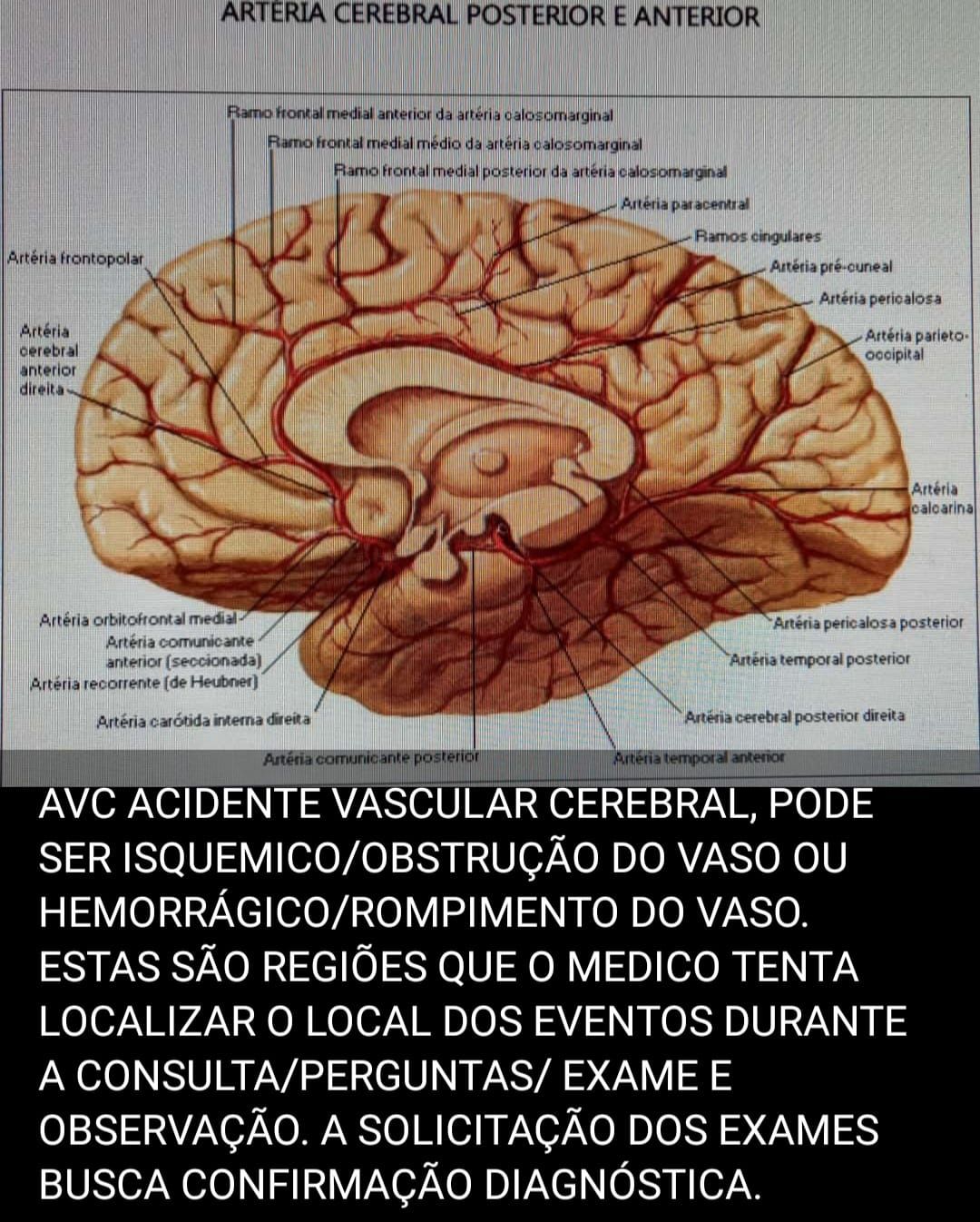 Eduardo Luiz Espíndola-7