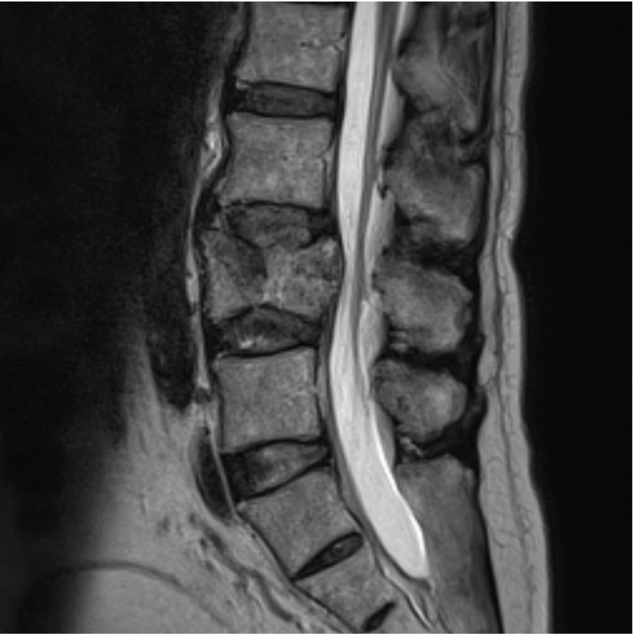 David Tafur Muñoz-1679