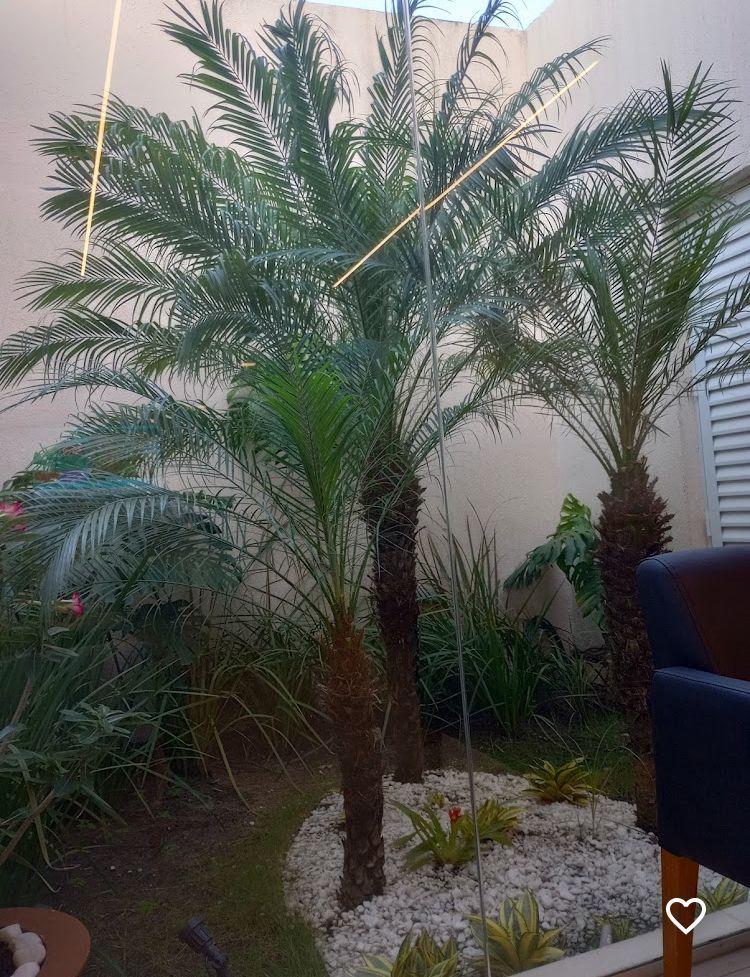 João Cavalcanti De Albuquerque Neto-9