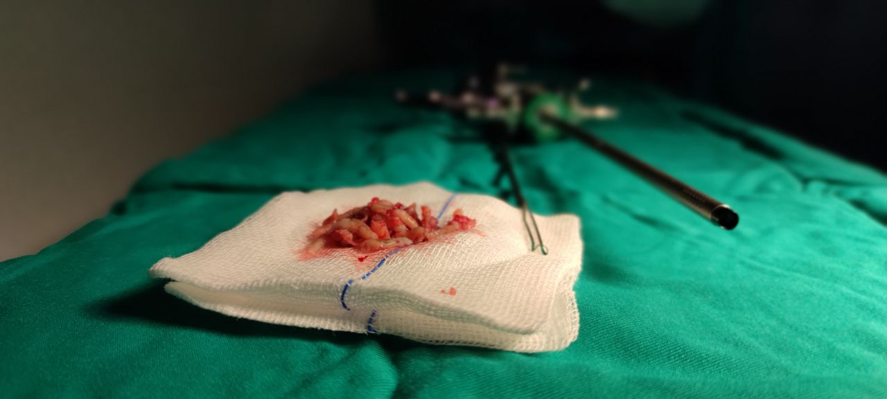 José Luis Goncalves Rodriguez-8