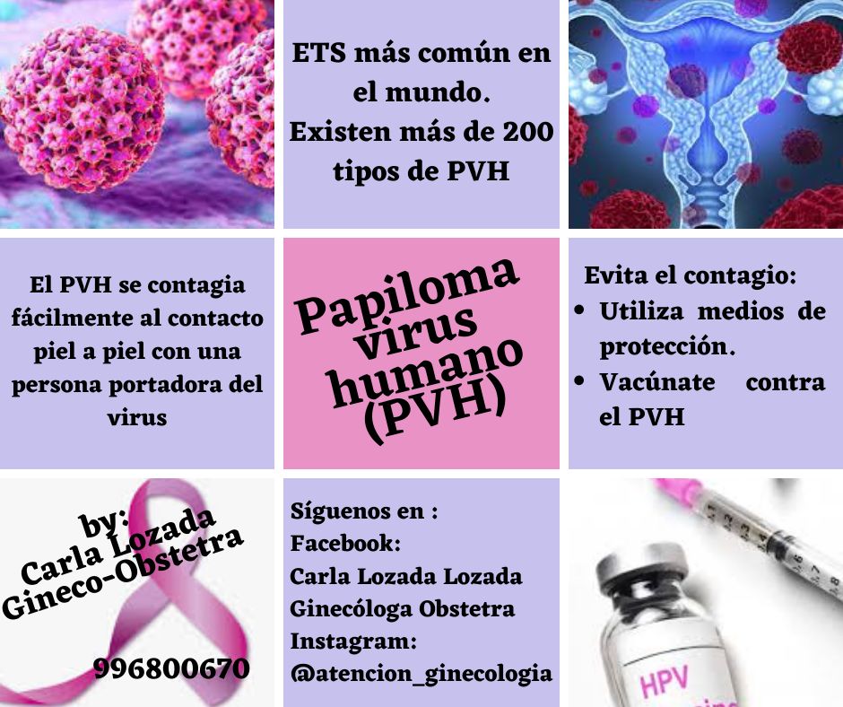 Carla  Lozada Lozada-6