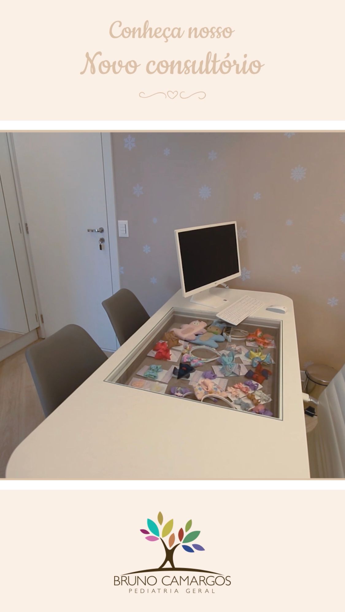 Bruno Pires De Camargos-1